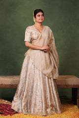 Silver Banarasi Tissue Silk Lehenga with Hand Embellished Blouse