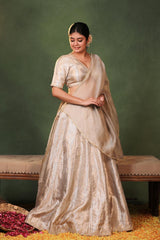 Silver Banarasi Tissue Silk Lehenga with Hand Embellished Blouse