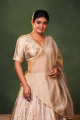 Silver Banarasi Tissue Silk Lehenga with Hand Embellished Blouse