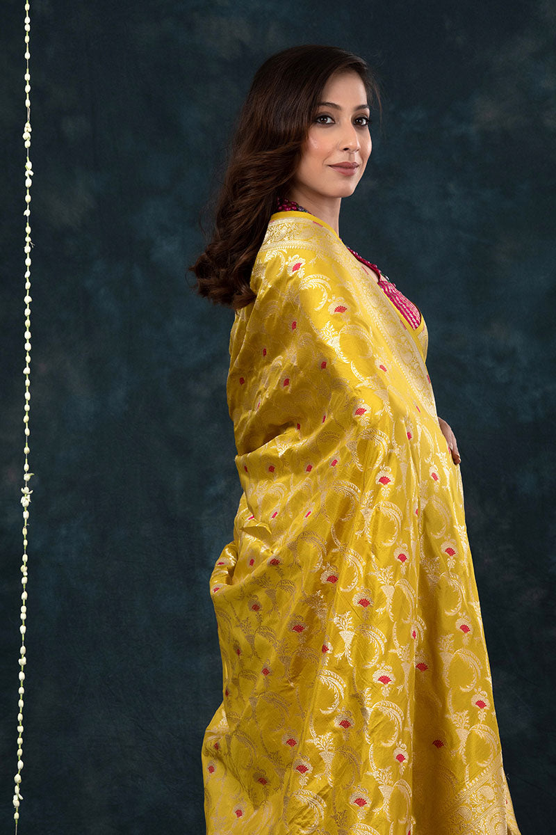 Deep Yellow Meenakari Handwoven Banarasi Katan Silk Saree