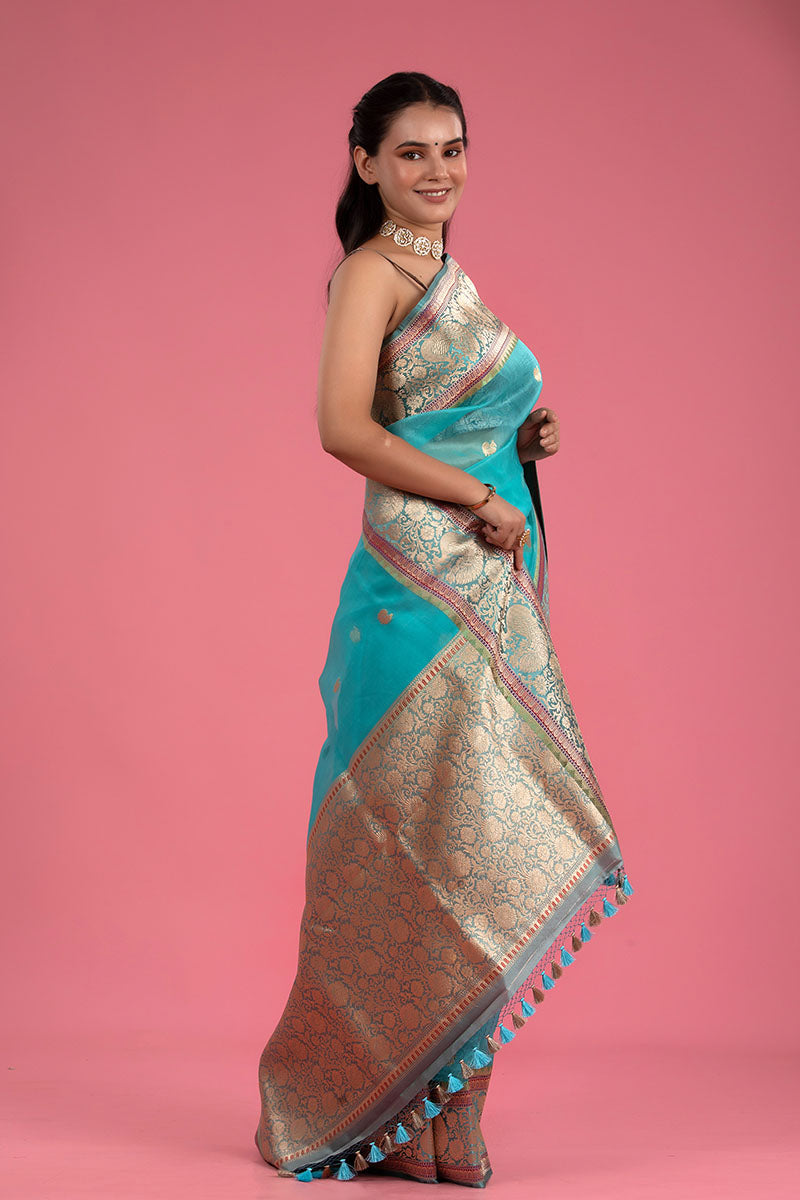 Sky Blue Ethnic Handwoven Organza Silk Saree - Chinaya Banaras