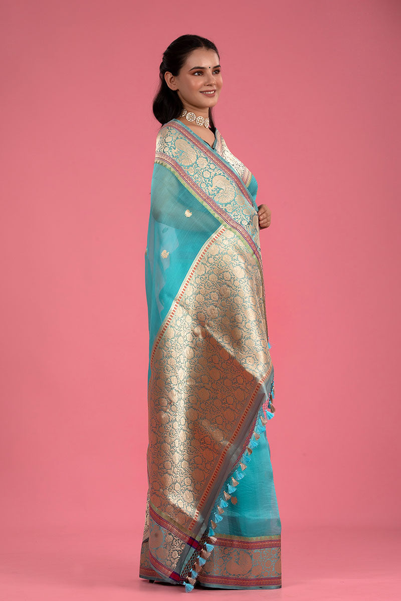 Sky Blue Ethnic Handwoven Organza Silk Saree - Chinaya Banaras