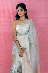 Grey Glam Banarasi Kota Tissue Saree