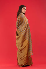 Gold Striped Woven Tissue Silk Saree - Chinaya Banaras