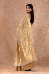 Glittery Gold Striped Woven Banarasi Cotton Saree