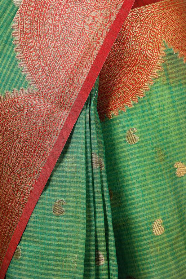 Tropical Green Cotton Banarasi Saree