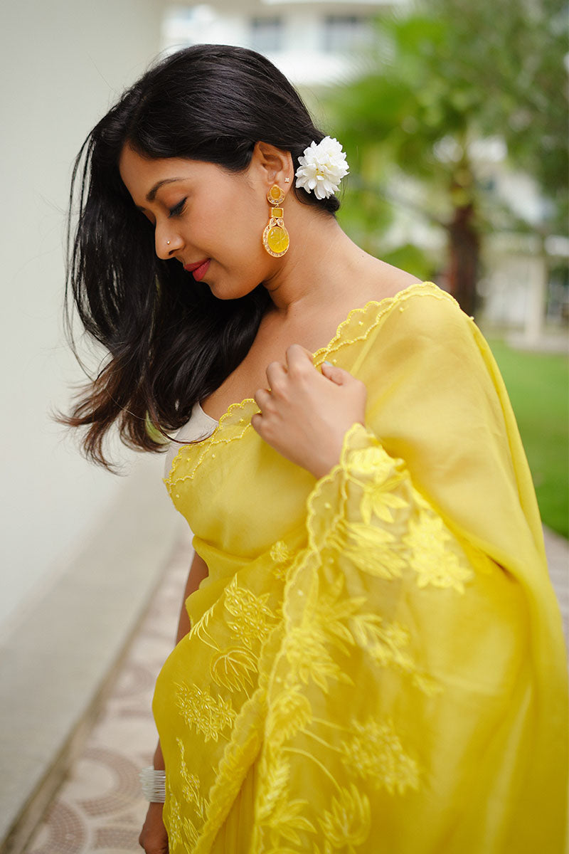 Sunitha Scharma In Pastel Yellow Embellished Organza Silk Saree - Chinaya Banaras