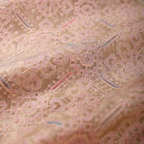 Pastel Peach Patola  Embroidered Organza Silk Fabric At Chinaya Banaras