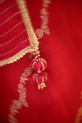 Red Organza Silk Saree with Gold-Silver Zari Stripes