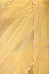 Butter Yellow Organza Silk Saree with Floral Applique and Bead Work