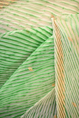 Green Half and Half Organza Silk Saree with Crushed Shibori Pallu
