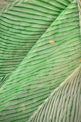 Green Half and Half Organza Silk Saree with Crushed Shibori Pallu