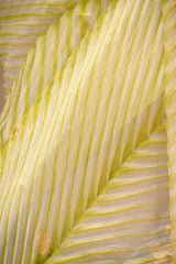 Lime Green Half and Half Organza Silk Saree with Crushed Shibori Pallu