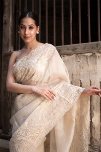 Tamannaah Bhatia, off White Saree, Tissue Saree, Bollywood Saree, Wedding Saree, Party Wear Saree, Celebrity Saree
