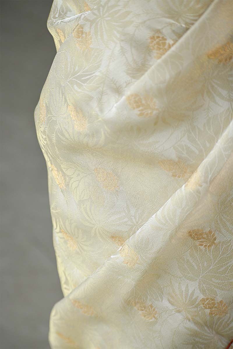 Off White Tissue Silk Saree with Banarasi Designer Blouse