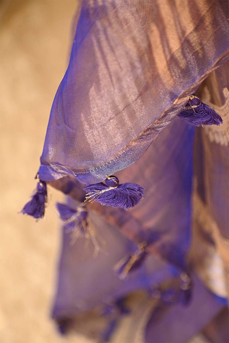 Blue Tissue Silk Saree with Gold-Silver Zari Necklace Stripes