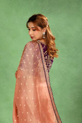 Peach Tissue Silk Saree with Roopa Sona Buti