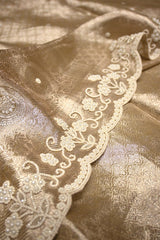 Gungun Uprari in our Banarasi Tissue Silk Saree