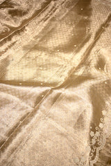 Gungun Uprari in our Banarasi Tissue Silk Saree