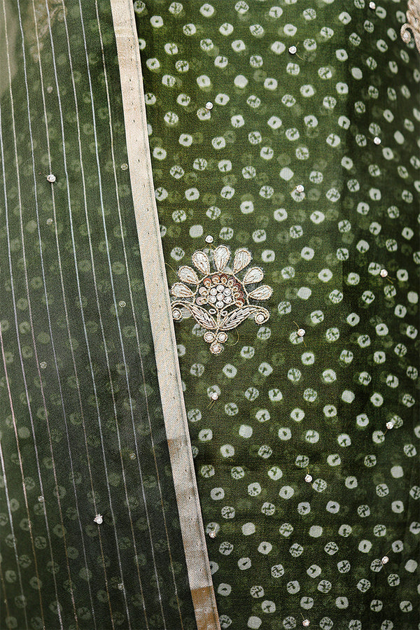 Heena Green Embellished Organza Silk Dress Material - Chinaya Banaras