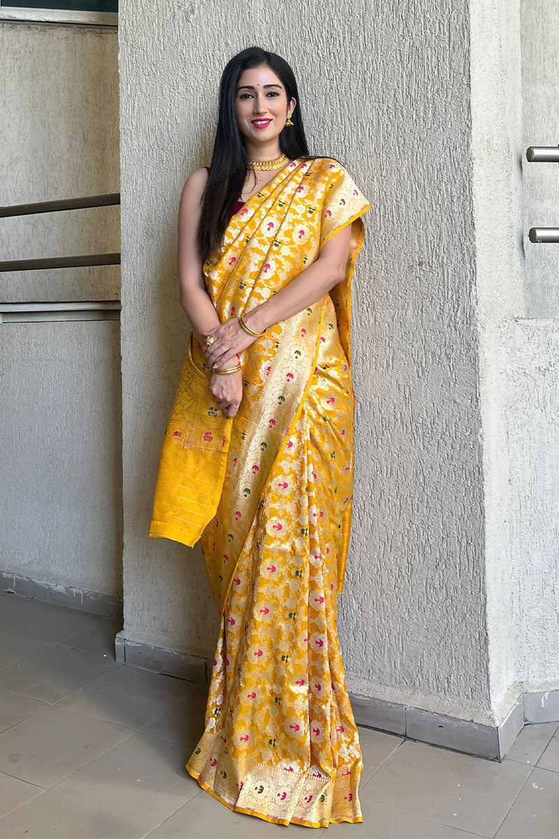 Gungun Uprari & Alkananda Bodapaty In Meenadar Handwoven Banarasi Silk Saree - Chinaya Banaras