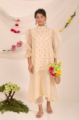 Beige Embroidered Soot Organza Dress - Chinaya Banaras