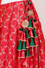 Cherry Red Handwoven Embellished Mulberry Silk Lehenga Set - Chinaya Banaras