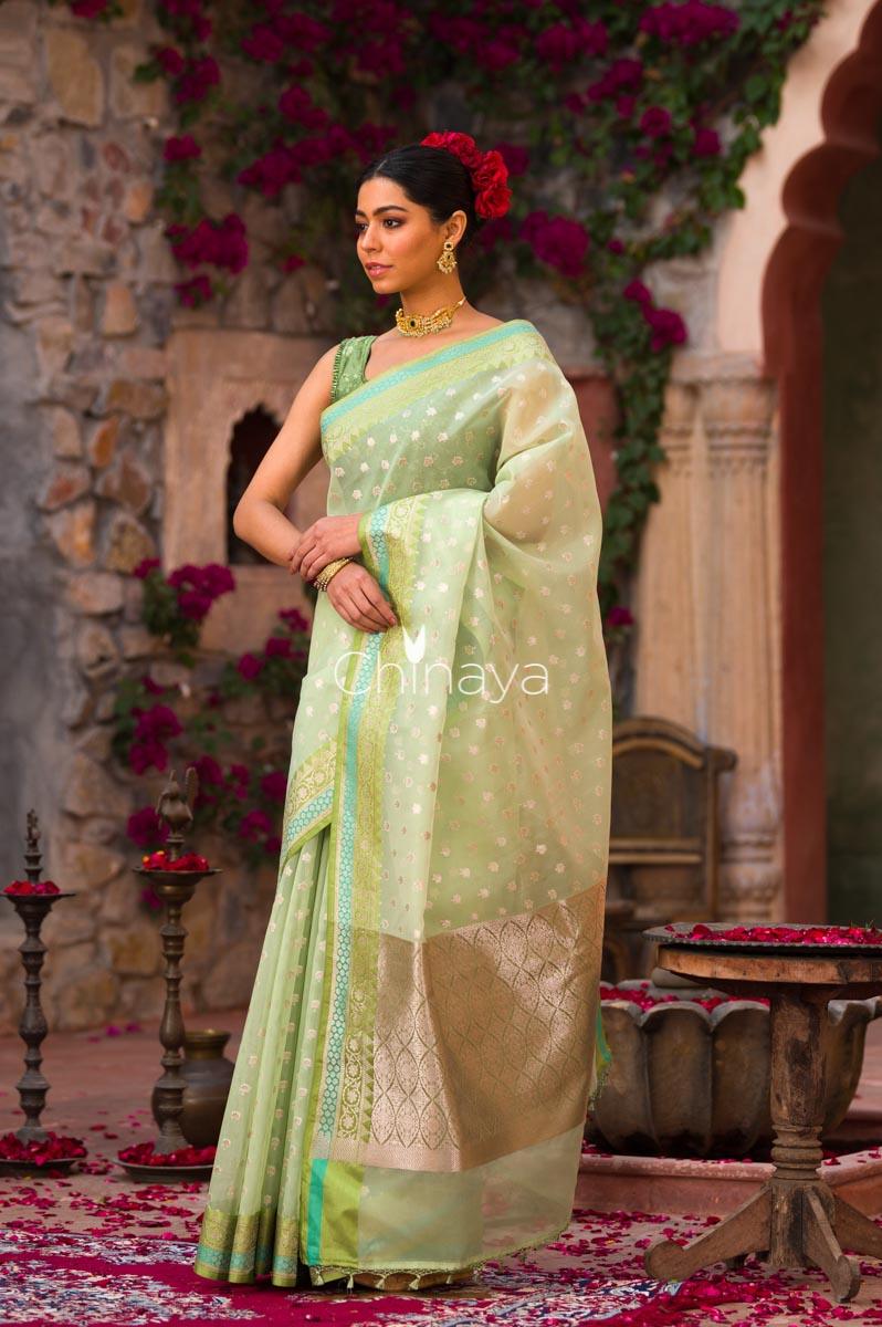 Icegreen Jaal Banarasi Organza Silk Saree - Chinaya Banaras