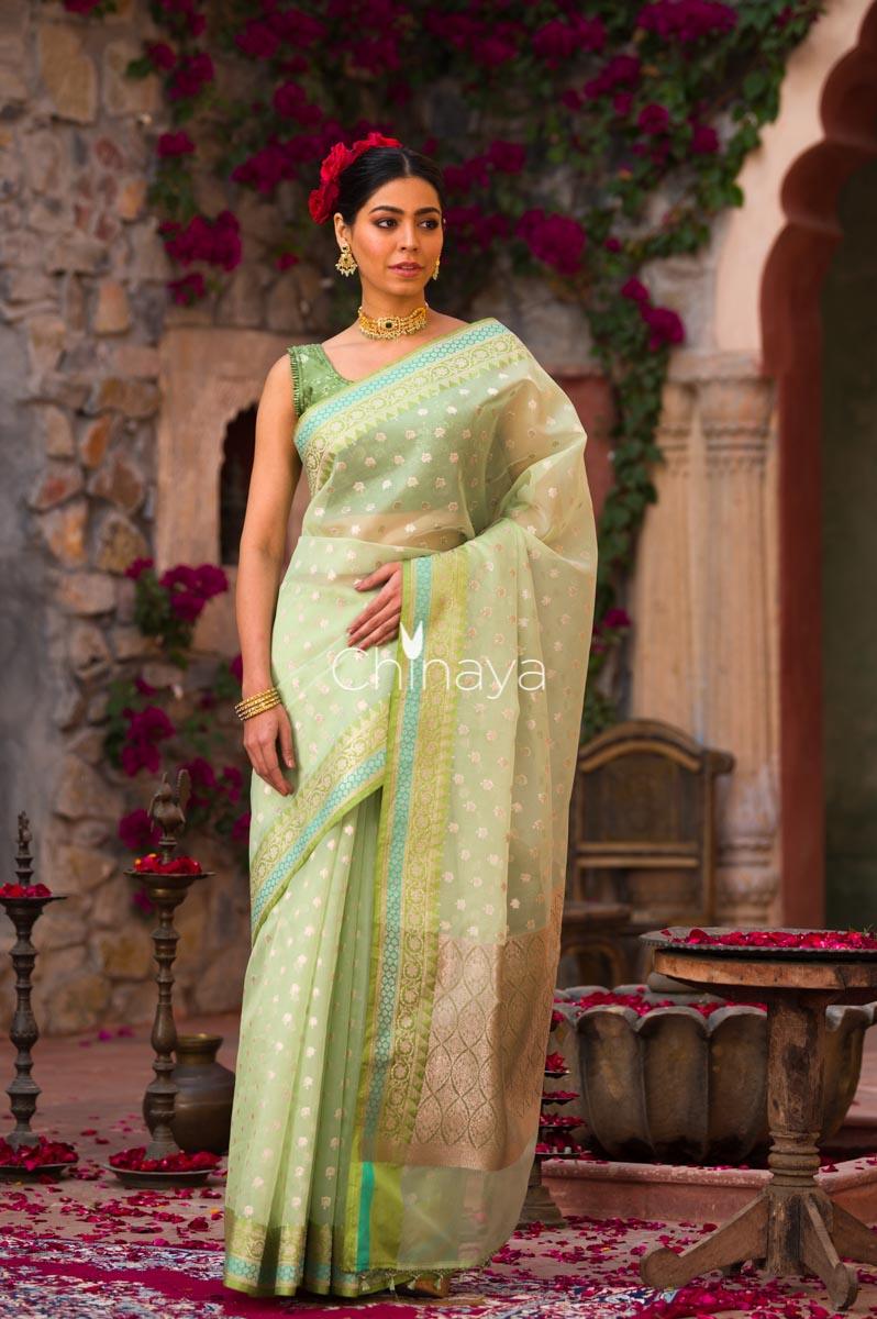 Icegreen Jaal Banarasi Organza Silk Saree - Chinaya Banaras