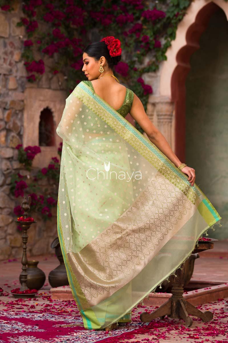 Icegreen Jaal Banarasi Organza Silk Saree - Chinaya Banaras