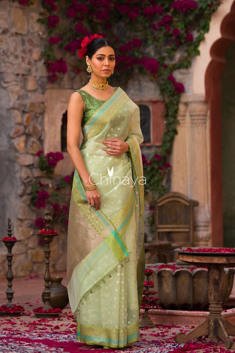 Icegreen Jaal Banarasi Organza Silk Saree - Chinaya Banaras