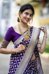 True Purple Handwoven Banarasi Silk Saree - Chinaya Banaras